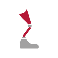 Orthoprothesen